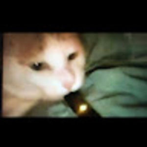 Meet your Posher, Kiba